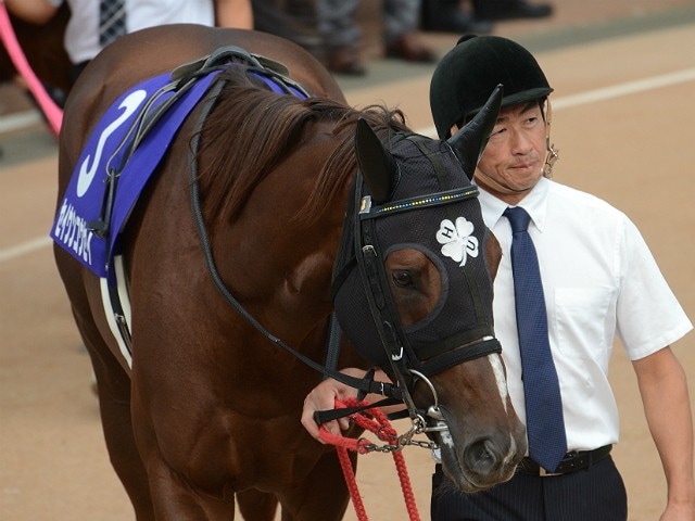 昨年の高松宮記念勝ち馬のセイウンコウセイ
