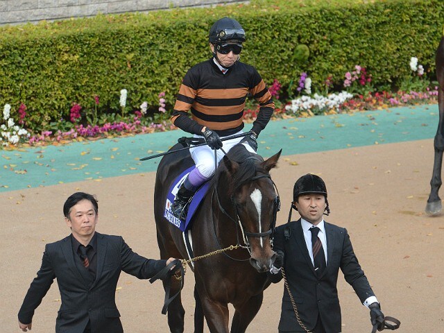 2017年大阪杯勝ち馬のキタサンブラック