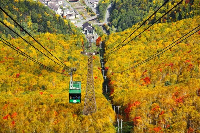 紅葉の黒岳ロープウェイ