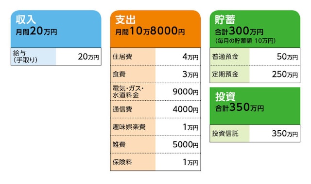 相談者「グレープ」さんの家計収支データ