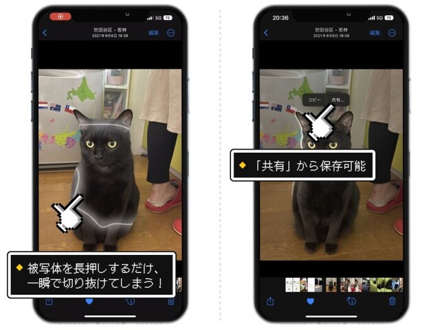 切り抜きたい被写体をタップし、少し長押しするだけ