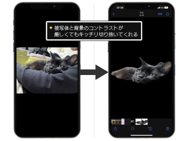 キレイに猫だけを切り抜いてくれた