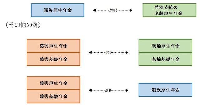 年金の選択について（日本年金機構ホームページより抜粋）