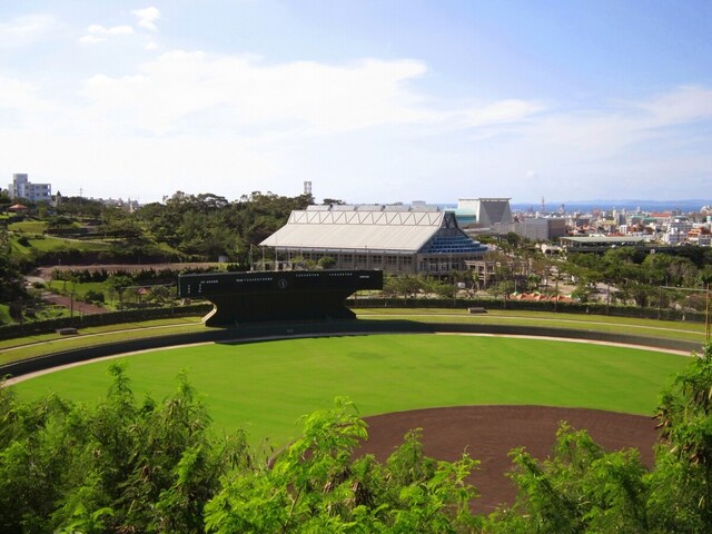 沖縄各地の球場などでプロ野球キャンプが見学できる （C）OCVB