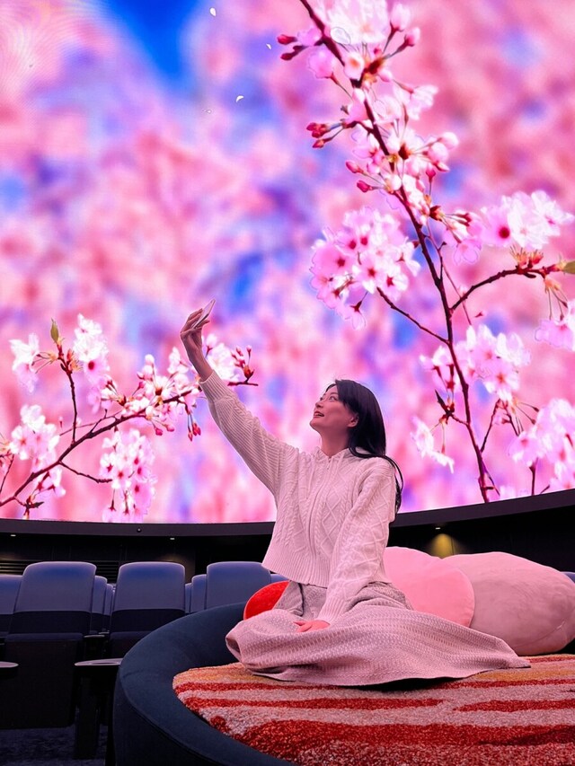 桜ウェルカムドーム