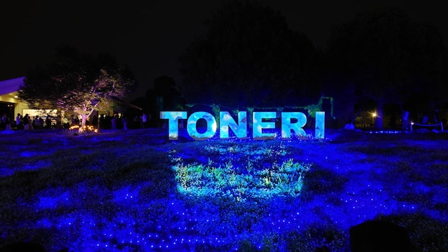 プロジェクションマッピングが投影されるネモフィラの花畑の中の「TONERI」の文字看板（2024年4月20日撮影）