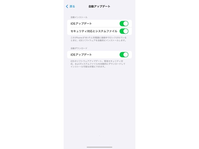 「自動アップデート」の項目をオンにすると、OSが自動でアップデートされます