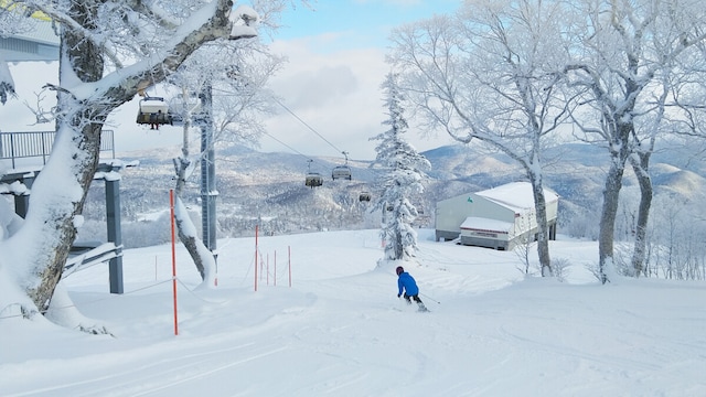 エコークワッドリフトで山頂のパウダーを集中攻略！