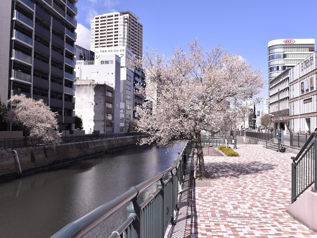 生活圏として考える場合、堀川沿いが整備されているのもポイントが高い。春は早咲きの桜があり散策も気持ちいい