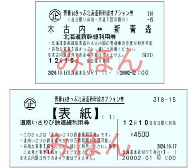 北海道新幹線オプション券