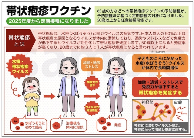 帯状疱疹ワクチンとは?(筆者作成)