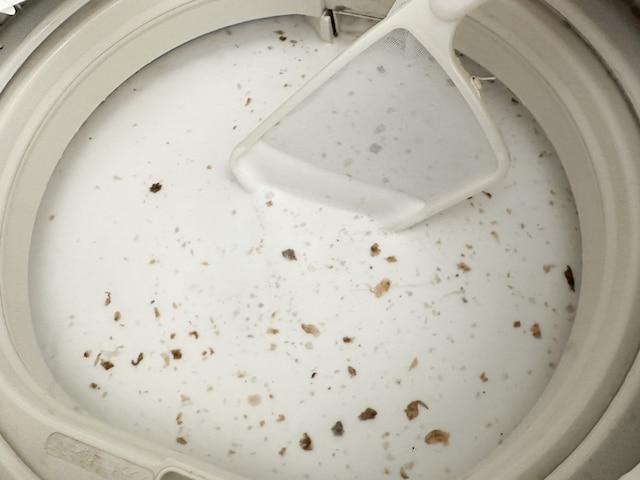 浮いてきた黒わかめを取り除く