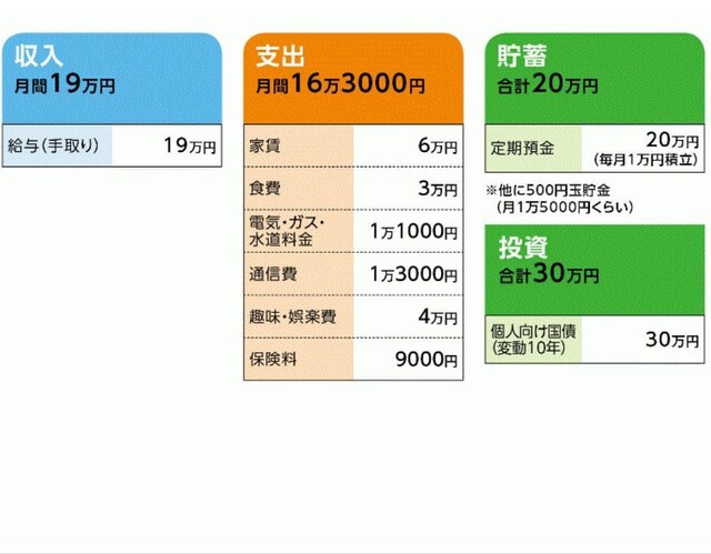 「江口弥生さん」の家計収支データ