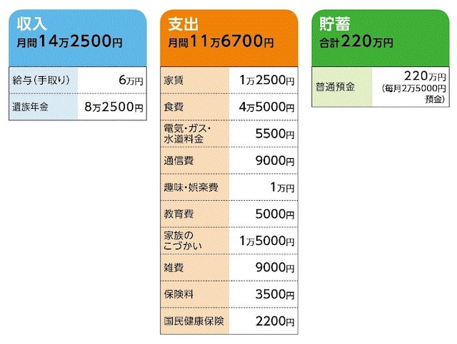 「ぱんこさん」の家計収支データ