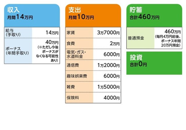 「ひよこ姫」さんの家計収支データ