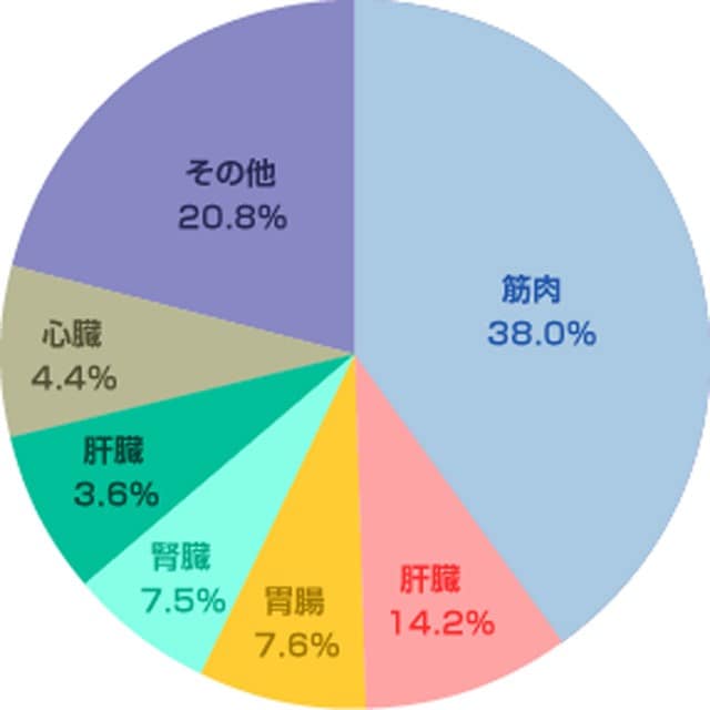 筋肉がもっとも代謝が高い