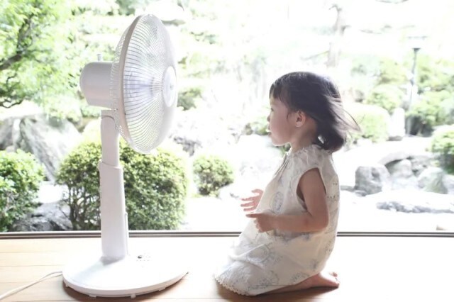 扇風機とサーキュレーターは似ているけど目的が異なるもの