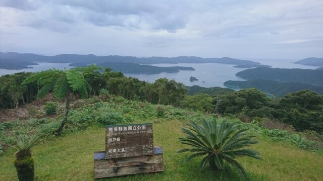 油井岳園地からの大島海峡の眺め。対岸は加計呂麻島(2021年10月撮影)
