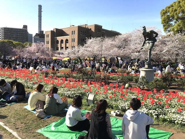 鶴舞公園は1909（明治42）年に開園した名古屋の公園第一号。ソメイヨシノ約700本、バラ約1400本など四季折々の花木が目を楽しませてくれる