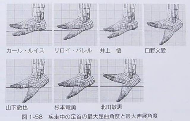図2：『スポーツ選手なら知っておきたい「からだ」のこと』（小田伸午著／大修館書店刊）より