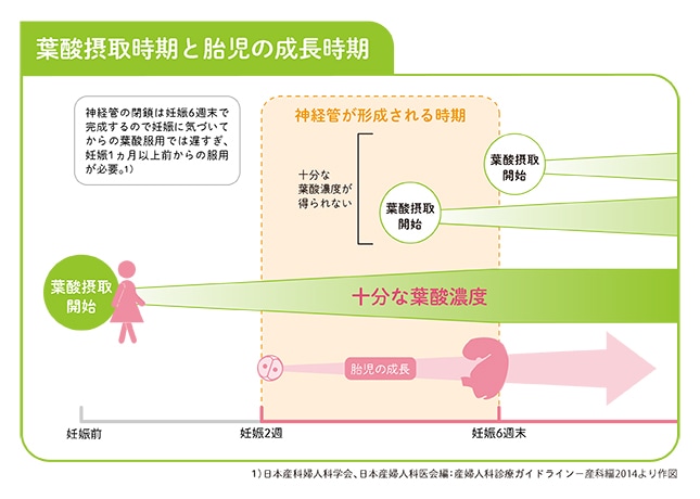 paragraph_3_img_0