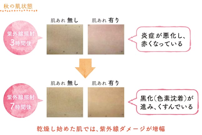 paragraph_4_img_0