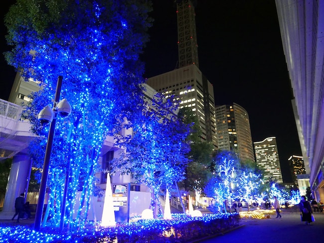 「眺めの広場」の街路樹もブルーに