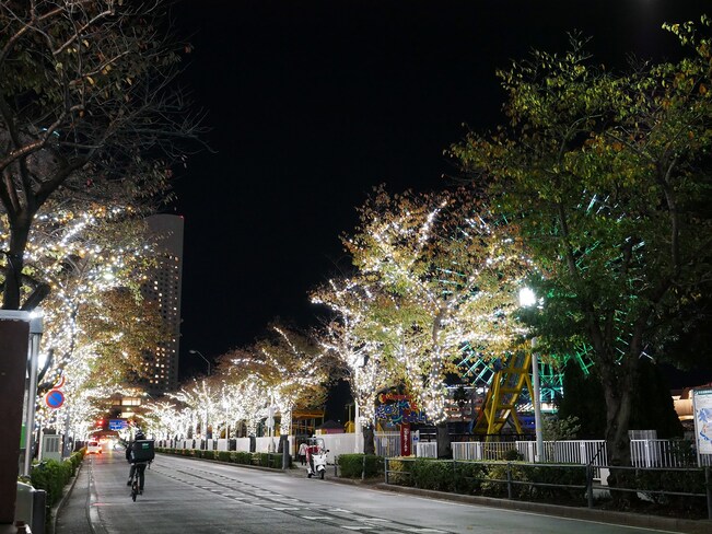 「さくら通り」は街路樹が白色にライトアップ