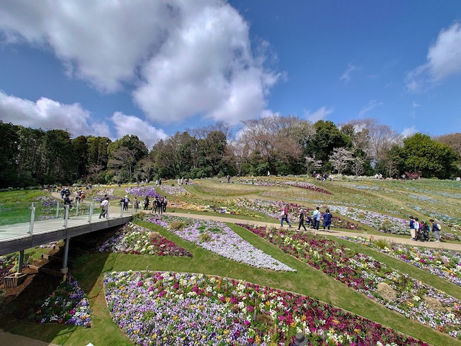 里山ガーデンの大花壇（2022年3月30日撮影）