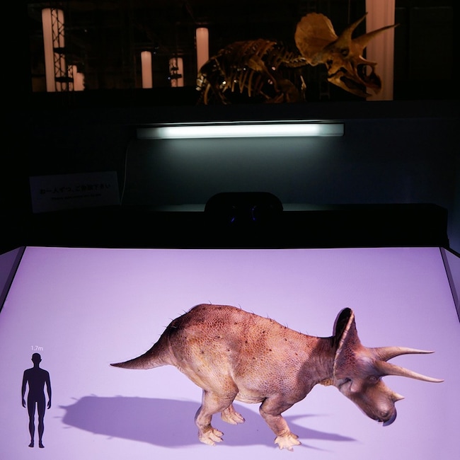 トリケラトプスの3DCGモデル ©DinoScience 恐竜科学博製作委員会