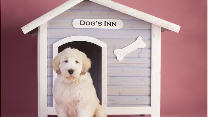 室内用 屋外用の犬小屋おすすめ16選 大型犬でも快適 おしゃれでかわいい木製も Best One ベストワン