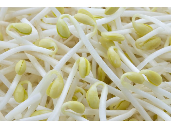 大豆もやしの茹で時間・おいしい豆もやしの茹で方