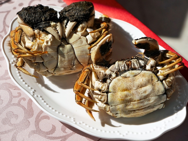 横浜中華街で 上海蟹フェア スタート 美味しさをもっと知って All About News