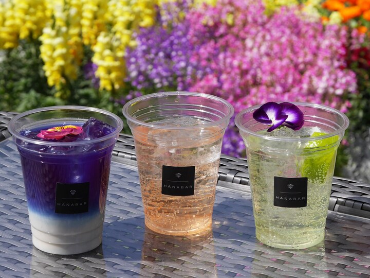 花を使ったドリンクもいろいろ。左から、ブルーラテ（アイス、600円）、桜ジントニック（700円）、ウタ・ドライ（700円）（2018年3月30日撮影）