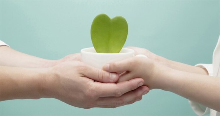 女性が産婦人科に行きたくない2つの理由