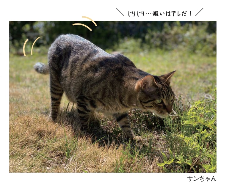 おしりフリフリ