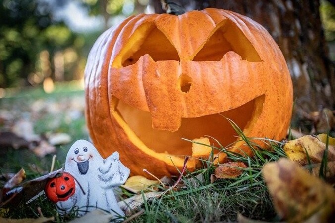 ハロウィンおすすめプレゼント人気ランキング