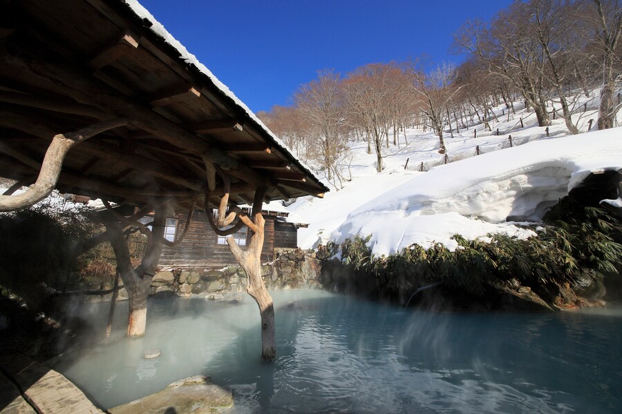 雪見露天風呂が楽しめる温泉地ベスト5