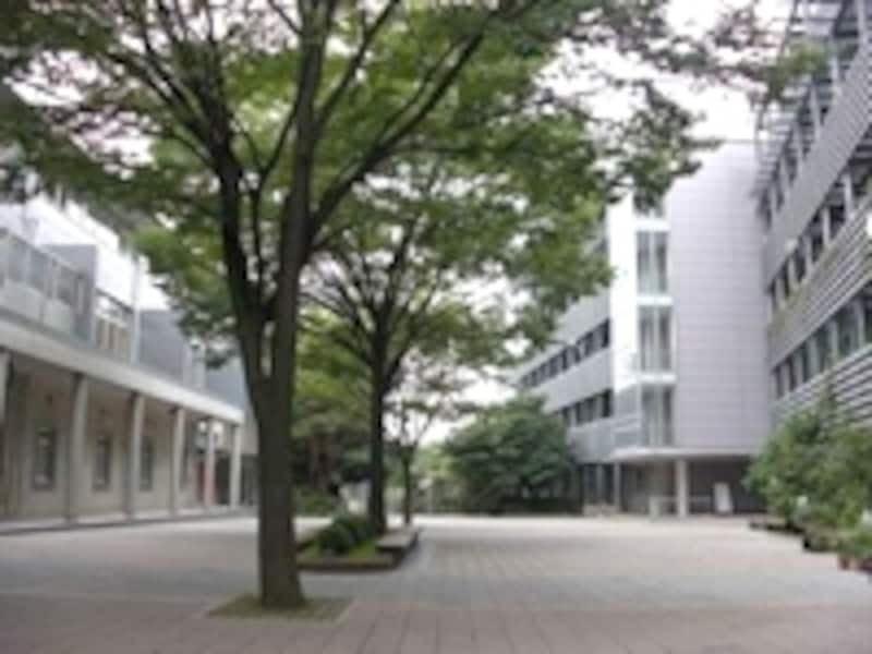 桐光学園高等学校 [高校受験] All About