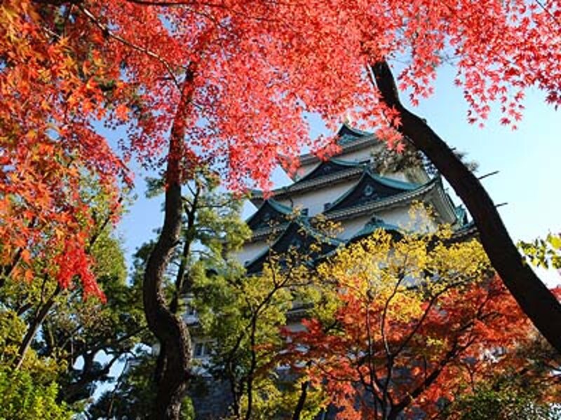 名古屋のおすすめ紅葉スポット2017