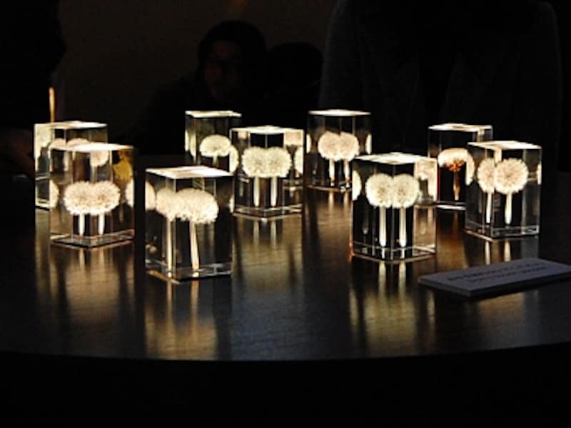 2/3 繊細な光のアート 有機EL照明 [照明・LED] All About