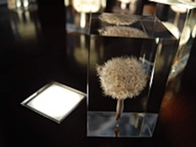 アクリルランプ たんぽぽ GLASS LAMP EL Techno Inc. 2/3 繊細な光のアート 有機EL照明 [照明・LED] All About