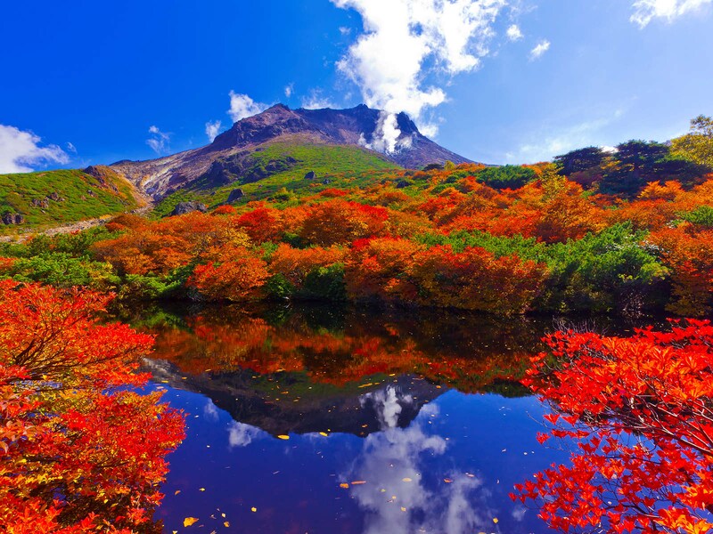 関東の紅葉名所と温泉
