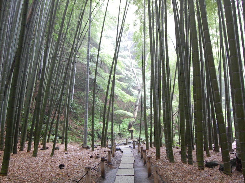 はじめての鎌倉観光 おすすめ名所ベスト5