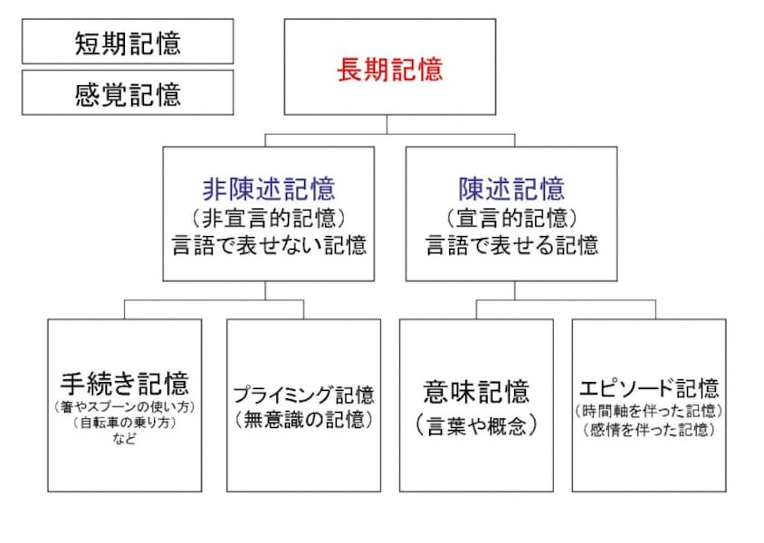 薬剤師国家試験記憶術 | こくしおぼえかた研究会 |本 | 通販