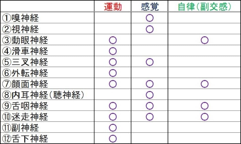 会長　12台分 脳神経の覚え方「さあさあ名古屋」 理学療法士国家試験でも