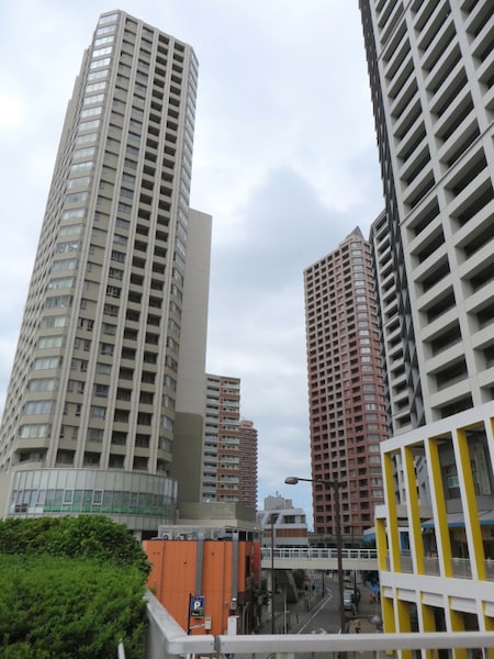 橋本 37f7490e-s.jpg