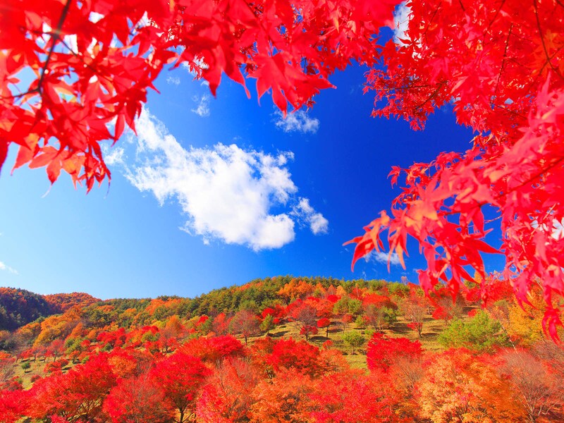 これぞ絶景!全国紅葉スポット12選