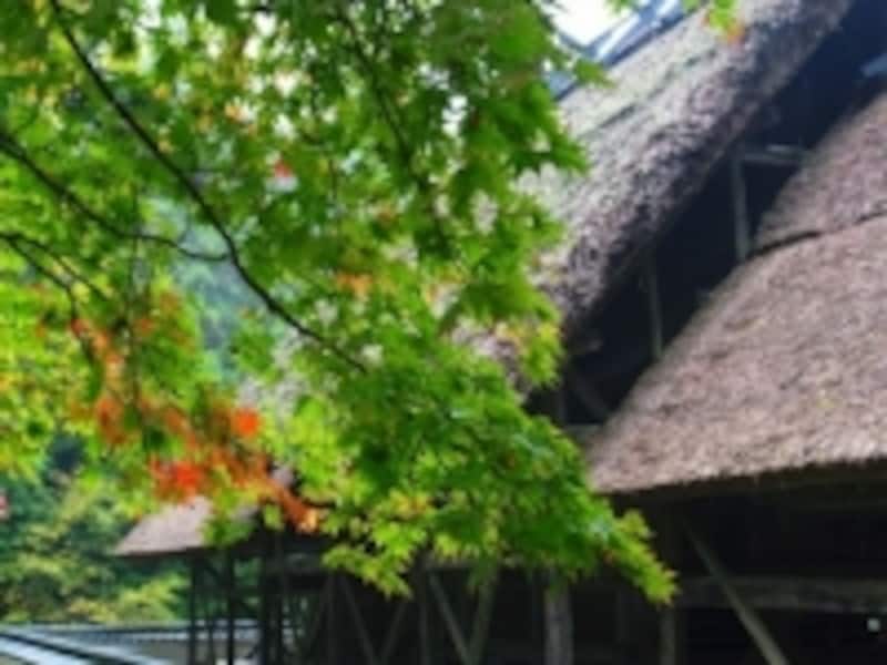 中古住宅