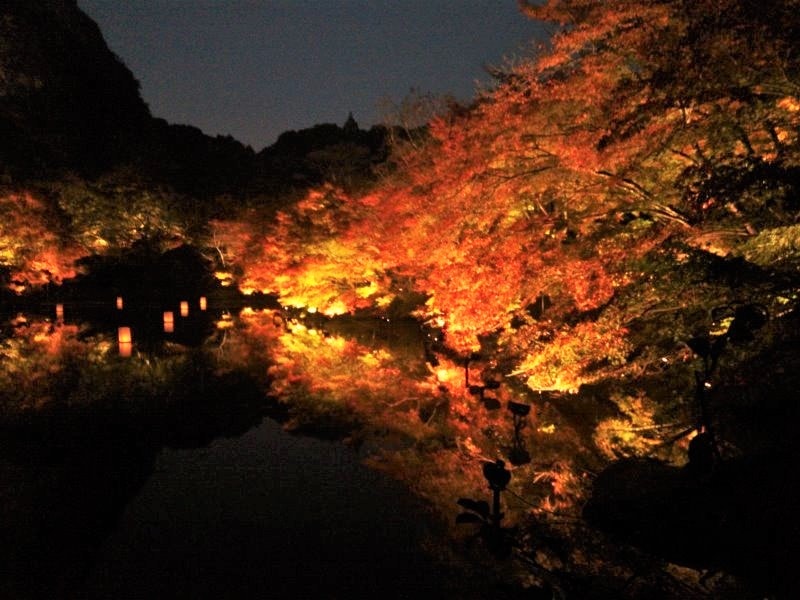 御船山楽園 絶景!日本最大級の紅葉ライトアップ